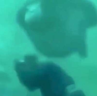 deep sea M O N K E