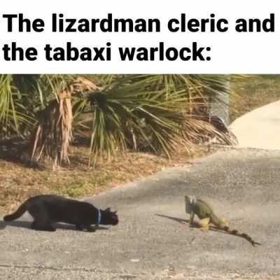 The end of the debate between the cleric and the warlock from my last session