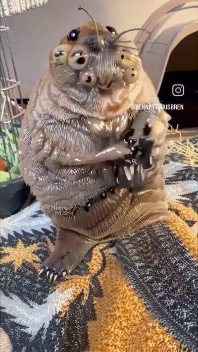 Spore in real Life?