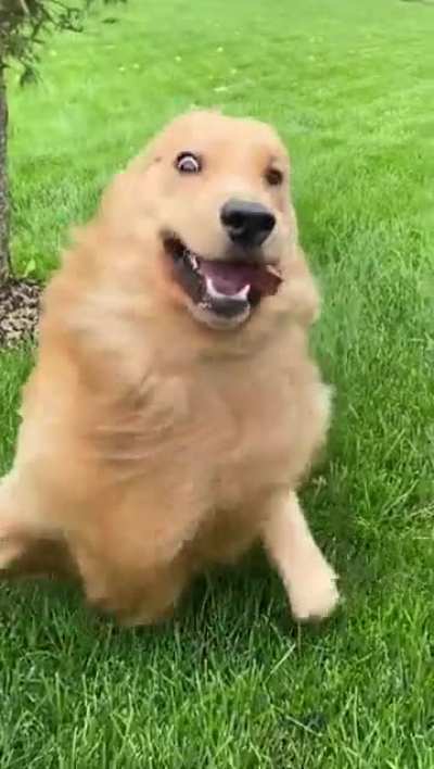 Activate Derp Mode!