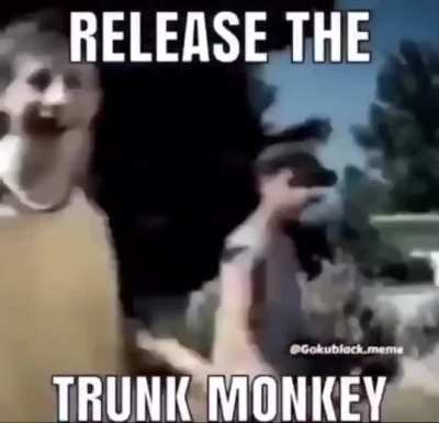 Release the trunk monkey