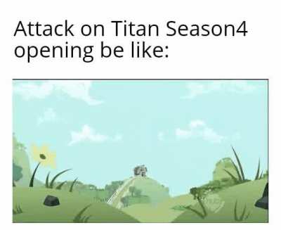 No spoiler