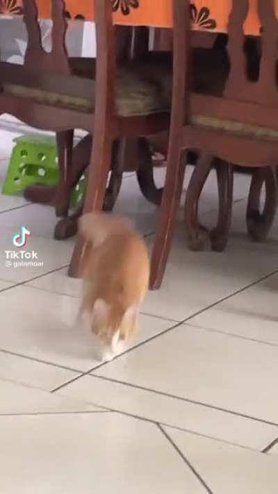 Bless you
