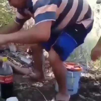 that fell goes to brazil