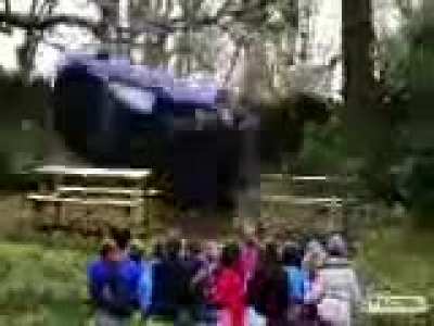 Moldy car accident