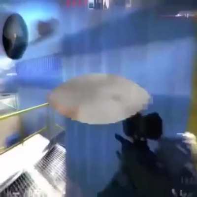 csgo cat montage