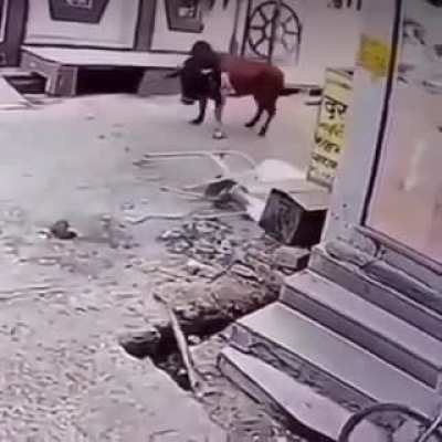 grandma got flipped