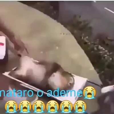 F pro Ademe