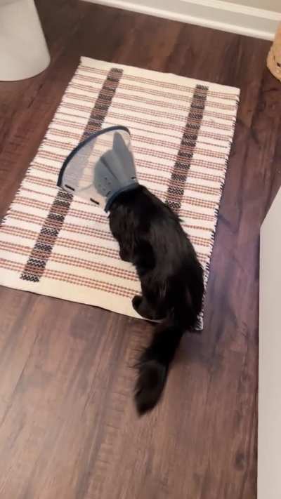 Not a fan of the cone