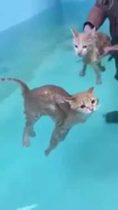 Look mom I've mastered the art of floating!
