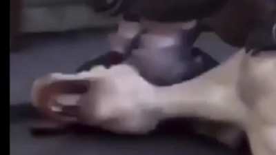 cursed_I can't breathe