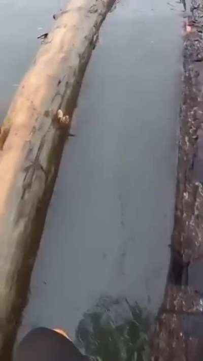 Log wrangling