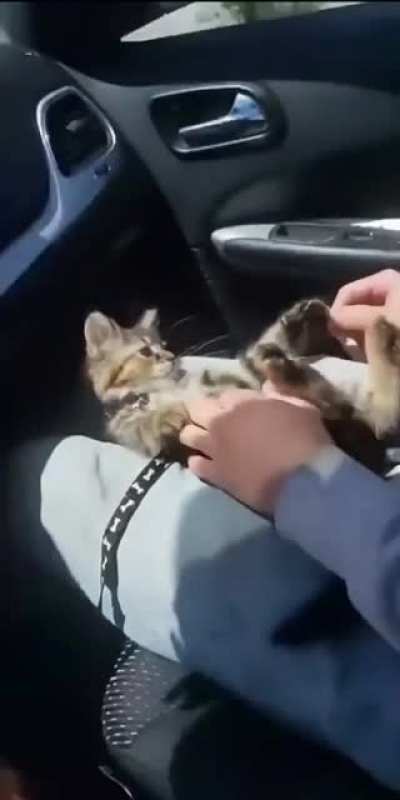 Tickly Toe Beans