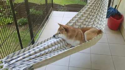 Rock'n'bork