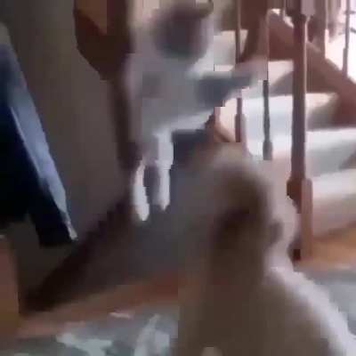 ( :