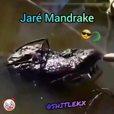 Jaré Mandrake