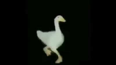 Madre mia Willy con el call me maybe se le ve bastante prodigio musical.