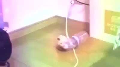 This is by far the cutest thing i have ever seen