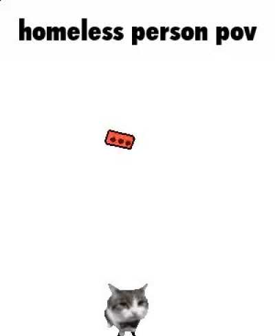 Point of View