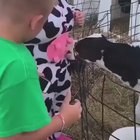 He needs some milk!