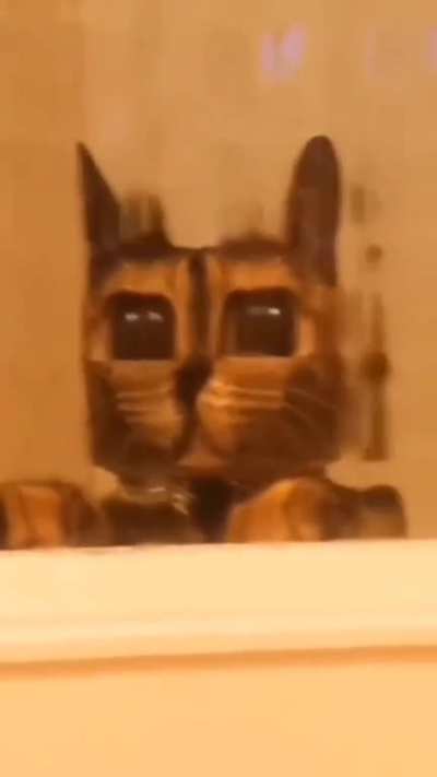 Minecraft kedi