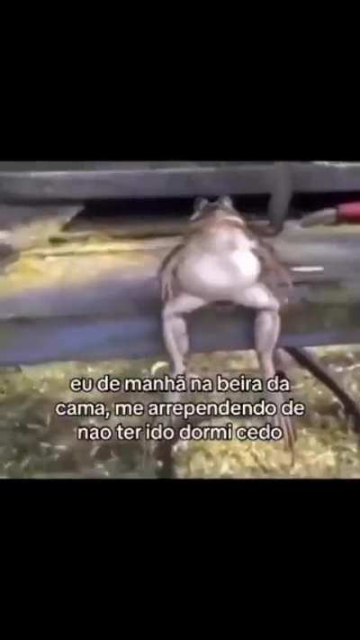 eu_nvr