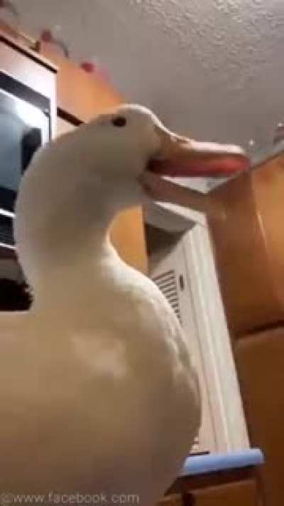 Aaaaaaa~