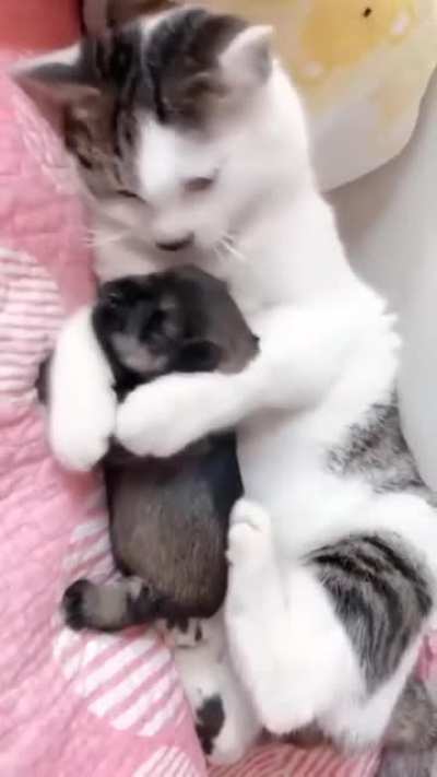 He is my baby..