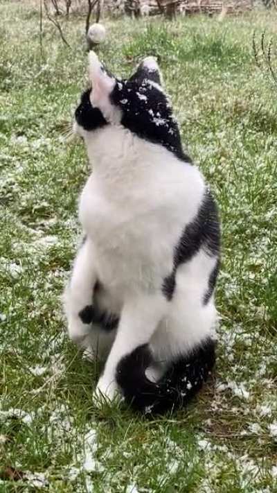[OC] - Little Magic is confused by his first encounter with snow.