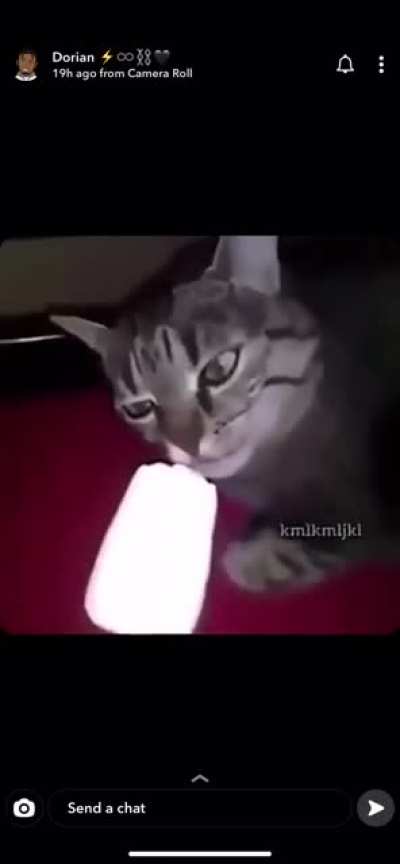 perfectly cut screech ?
