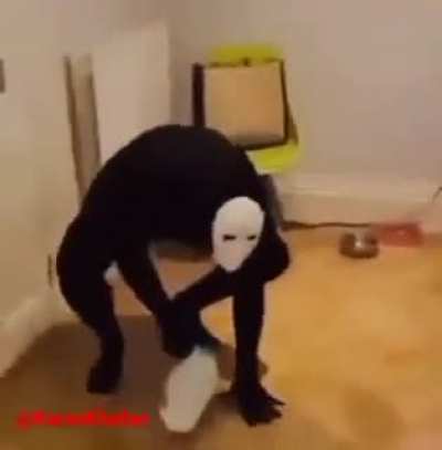 ¤