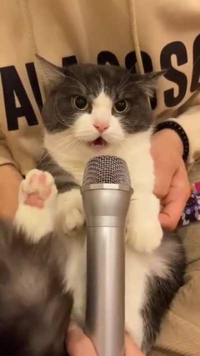 Fluffy air raid siren