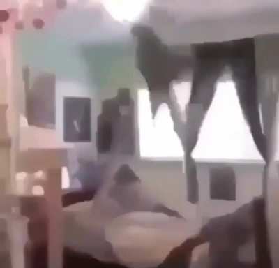No more monkeys