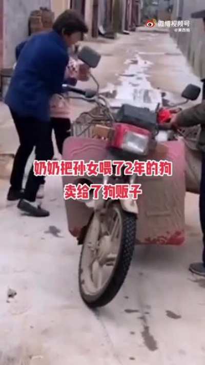 Бабка продала собаку своей внучки