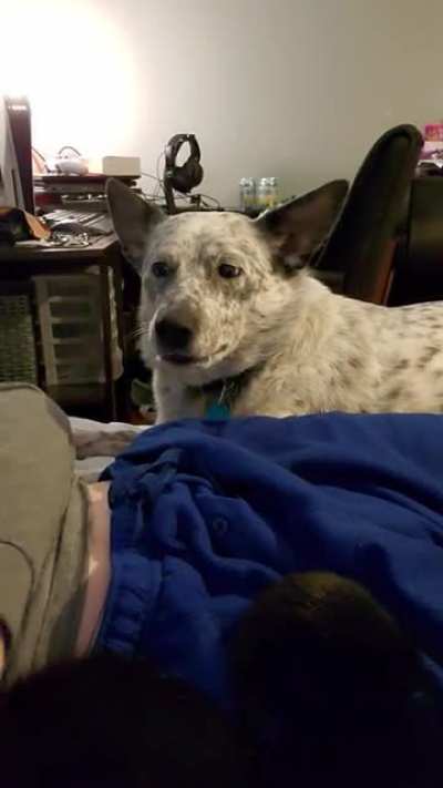 Don't worry, she's just a drama queen.