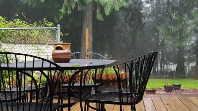 Solstice Rain in the PNW #2