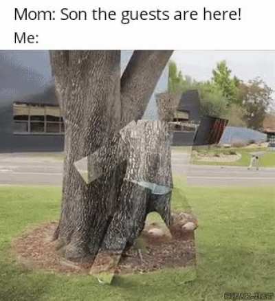 Time to hide