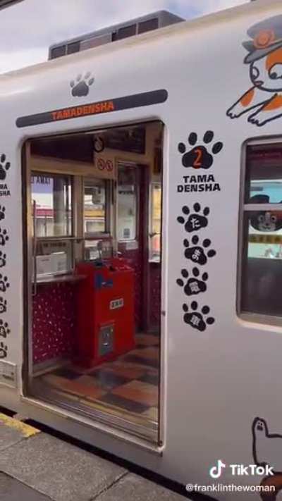 Cute cat train
