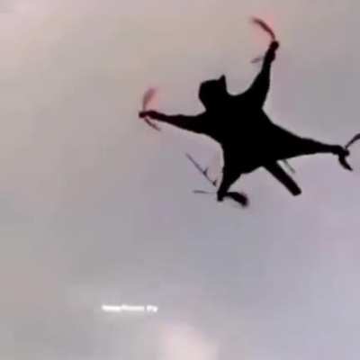 Cat drone go woosh