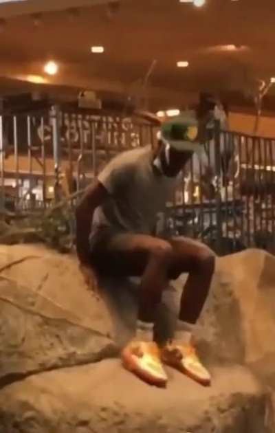 Guy jumps into large fish tank at store