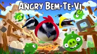 Isso é arte