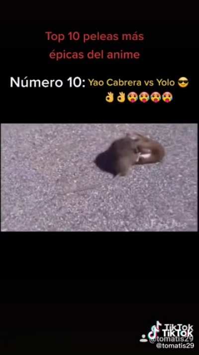LA MEJOR PELEA DEL MANGA😀👍