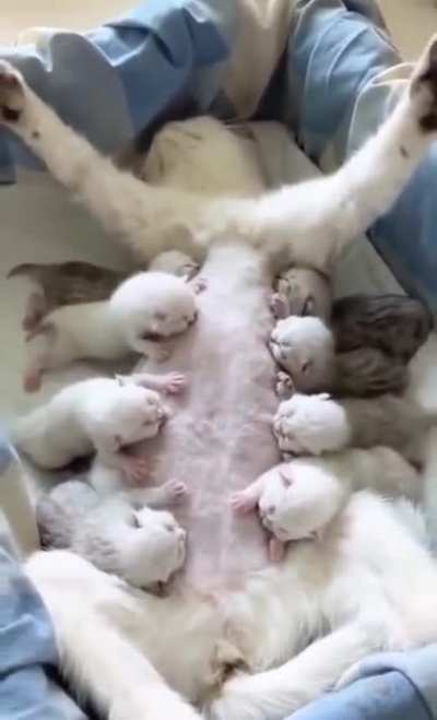 Great mom