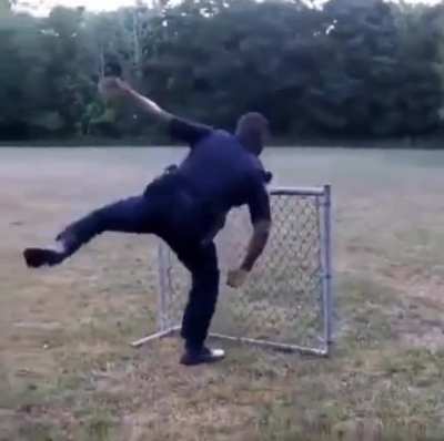 Master Jumper of the fence, the saviour