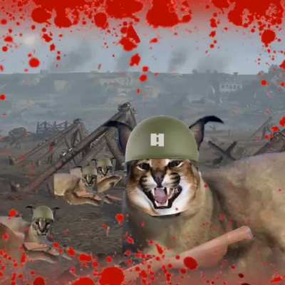 Battle of Bingmandy