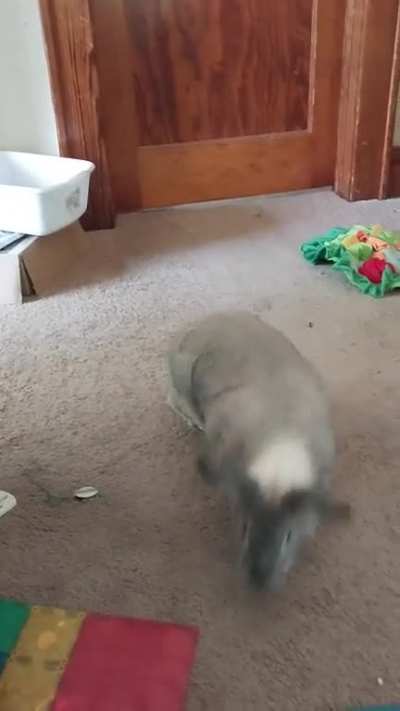 Big chunk binky