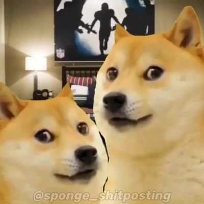 behold, the vinki