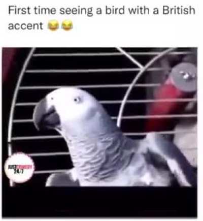 Me_irl