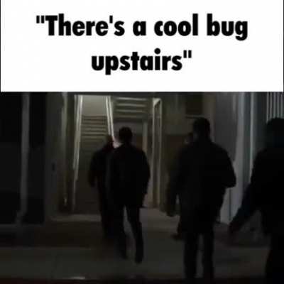 interesting creature