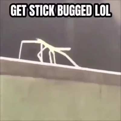 Stickcube
